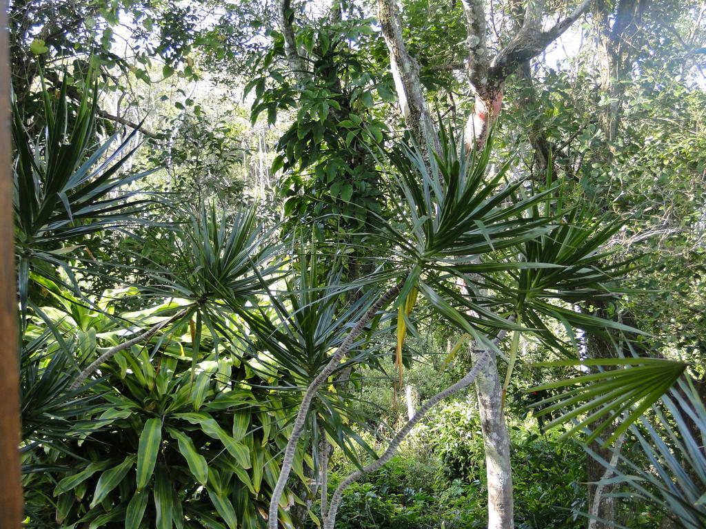 Pousada Lembranca Florianópolis Exterior foto